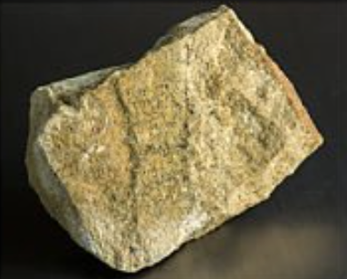Olive Stone